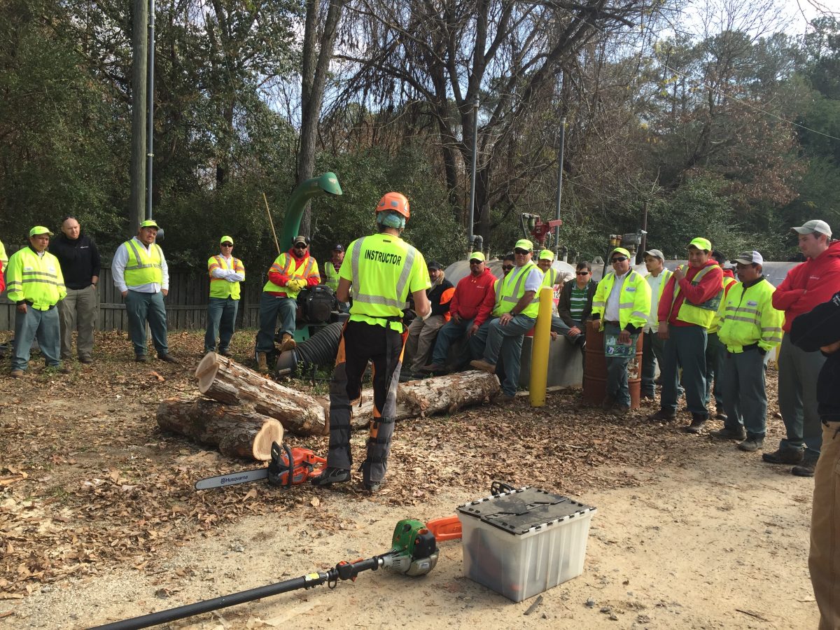 Chainsaw Safety Chainsaw Training Resources at the Center for Urban